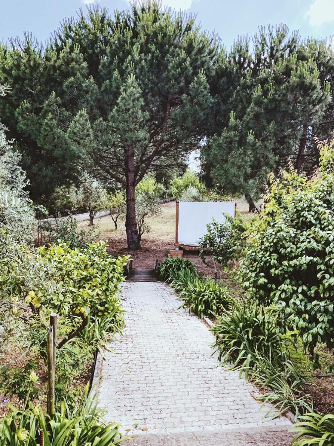 Casa Jone Tomar