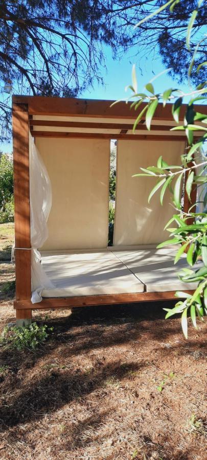 Casa Jone Tomar
